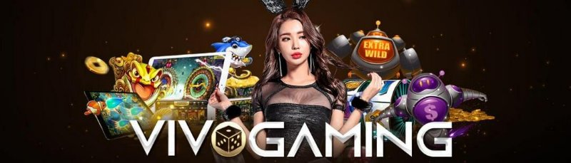 Tìm hiểu thông tin về Vivo Gaming (VG)