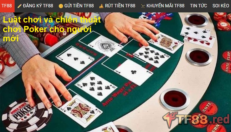 Luật chơi và chiến thuật chơi Poker cho người mới
